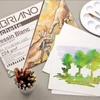 Balenie kresliaceho papiera Fabriano Pochette Dessin Blanc, 224 g - 24x32 cm, 12 listov