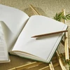Bambusový náčrtník a skicár Hahnemühle Bamboo Sketch, 105 g, 64 listov, A5