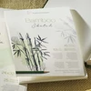 Bambusový náčrtník a skicár Hahnemühle Bamboo Sketch, 105 g, 30 listov, A4