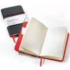 Zápisník Hahnemühle DiaryFlex, 100 g, 10,4x18,2 cm, bodkovaný
