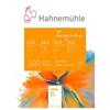 Blok Hahnemühle Ingres, 100 g, 20 listov, biely - 30x40 cm