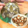 Obraz 6/7 - Hlina, 1 kg - po vypálení červená