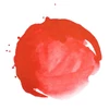 Liquitex akrylový atrament, 30 ml - 294, naphthol red light