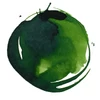 Liquitex akrylový atrament, 30 ml - 315, sap green permanent