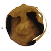 Liquitex akrylový atrament, 30 ml - 333, transparent raw umber