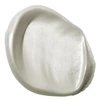 Akrylová farba Liquitex Basics, 22 ml - 238, iridescent white