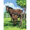 Sada očíslovaných omaľovánok, akrylová farba+štetec, 22x30 cm - Kone, Mare a Foal