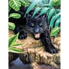 Sada očíslovaných omaľovánok, akrylová farba+štetec, 22x30 cm - Čierny leopard