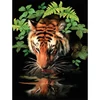 Sada očíslovaných omaľovánok, akrylová farba+štetec, 22x30 cm - Smädný tiger