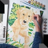 Sada na maľovanie podľa čísel Reeves, 30x40 cm - Labrador