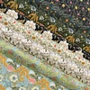 Obraz 3/3 - Patchworková tkanina - Moda - Barbara Brackman by Best of Morris Manor 8391-15