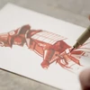 Sada na kreslenie Sakura Creative kit - Samurai