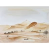 Akvarelová farba Schmincke Horadam, super granulačná - 5x15 ml, Desert