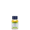 Médium Schmincke W, 60 ml