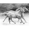 Sada nástrojov na kreslenie náčrtov s grafickými nástrojmi, 22x30 cm - Kone