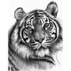 Obraz 2/3 - Sada nástrojov na kreslenie náčrtov s grafickými nástrojmi, 22x30 cm - Tiger