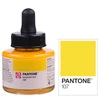 Marker atrament Talens Pantone, 30 ml - 107