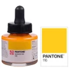 Marker atrament Talens Pantone, 30 ml - 116