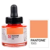Marker atrament Talens Pantone, 30 ml - 1565