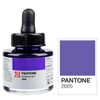 Marker atrament Talens Pantone, 30 ml - 2665