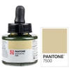Marker atrament Talens Pantone, 30 ml - 7500