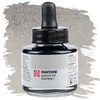 Marker atrament Talens Pantone, 30 ml - cool gray 1