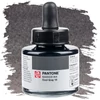 Marker atrament Talens Pantone, 30 ml - cool gray 10