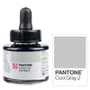 Marker atrament Talens Pantone, 30 ml - cool gray 2