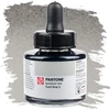 Marker atrament Talens Pantone, 30 ml - cool gray 2