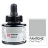 Marker atrament Talens Pantone, 30 ml - cool gray 3