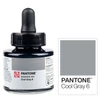 Marker atrament Talens Pantone, 30 ml - cool gray 6