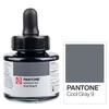 Marker atrament Talens Pantone, 30 ml - cool gray 9