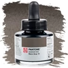 Marker atrament Talens Pantone, 30 ml - warm gray 10
