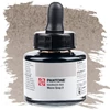 Marker atrament Talens Pantone, 30 ml - warm gray 2