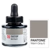 Marker atrament Talens Pantone, 30 ml - warm gray 6