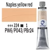 Olejová farba Talens Van Gogh, 200 ml - 224, naples yellow red