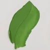 Olejová farba Talens Van Gogh, 40 ml - 614, permanent green medium