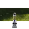 Olejová farba Talens Van Gogh, 40 ml - 620, olive green