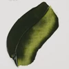 Olejová farba Talens Van Gogh, 40 ml - 620, olive green