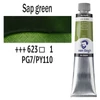 Olejová farba Talens Van Gogh, 200 ml - 623, sap green