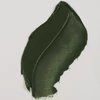 Olejová farba Talens Van Gogh, 20 ml - 629, green earth