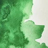 Akvarelová farba Winsor&Newton Professional, 1/2 panvičky - 420, cinnabar green