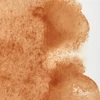 Akvarelová farba Winsor&Newton Professional, 1/2 panvičky - 059, brown ochre
