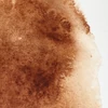 Akvarelová farba Winsor&Newton Professional, 1/2 panvičky - 076, burnt umber