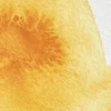Akvarelová farba Winsor&Newton Professional, 1/2 panvičky - 111, cadmium yellow deep