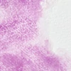 Akvarelová farba Winsor&Newton Professional, 1/2 panvičky - 192, cobalt violet