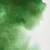 Akvarelová farba Winsor&Newton Professional, 1/2 panvičky - 311, Hooker's green