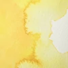 Akvarelová farba Winsor&Newton Professional, 1/2 panvičky - 417, aureolin hue