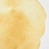 Akvarelová farba Winsor&Newton Professional, 1/2 panvičky - 422, Naples yellow