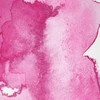 Akvarelová farba Winsor&Newton Professional, 1/2 panvičky - 448, opera rose